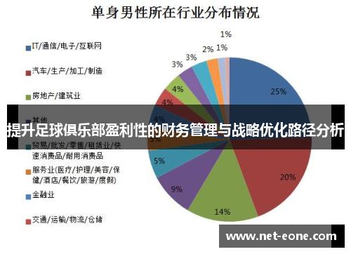 提升足球俱乐部盈利性的财务管理与战略优化路径分析