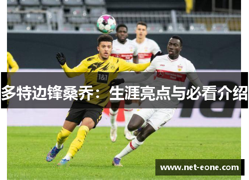 多特边锋桑乔：生涯亮点与必看介绍