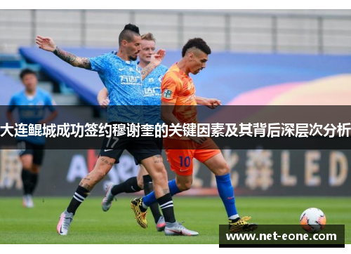 大连鲲城成功签约穆谢奎的关键因素及其背后深层次分析
