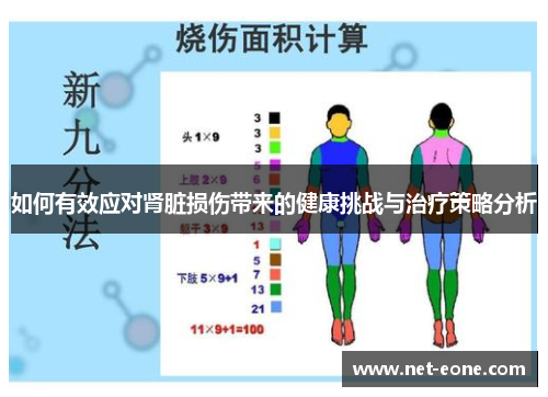 如何有效应对肾脏损伤带来的健康挑战与治疗策略分析
