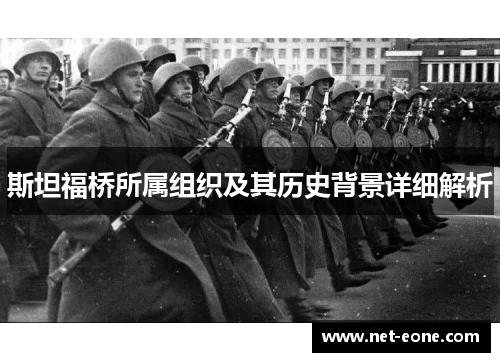 斯坦福桥所属组织及其历史背景详细解析