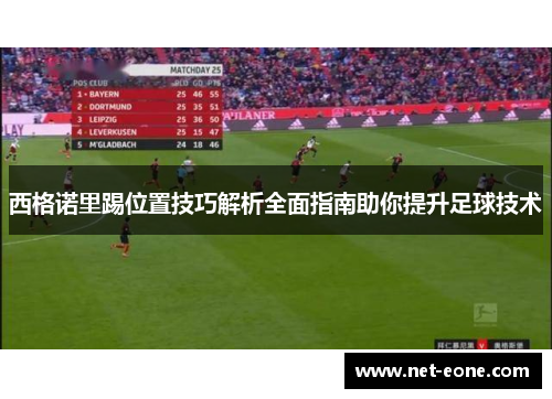 西格诺里踢位置技巧解析全面指南助你提升足球技术
